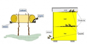 PropolisHOLETABEEKEEPINGMANUAL.JPG