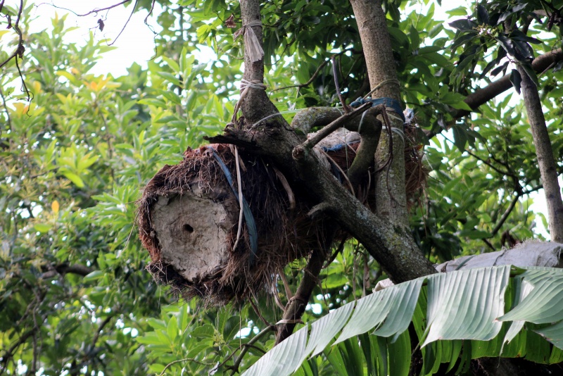 File:Traditionalbamboohive ET.jpeg