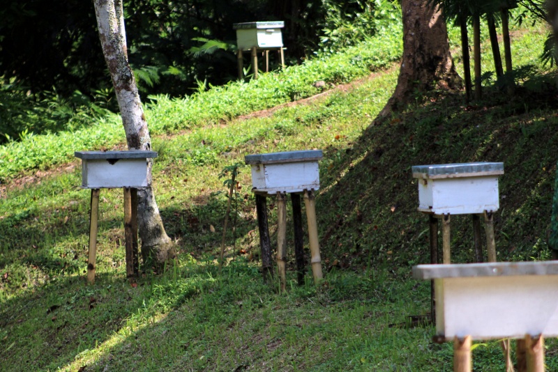 File:ModernBeehive IN.jpeg