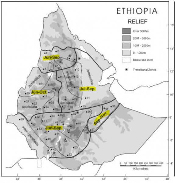 File:Reproductiveswarming ET.JPG