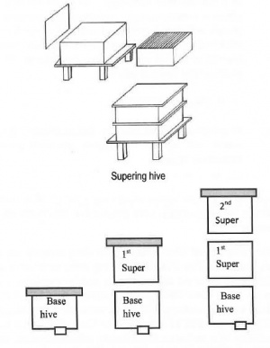 SuperingHiveHOLETABEEHIVEMANUAL.JPG