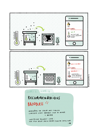 SAMS-system based recommendations for bee colonies without brood (illustration: Perempuangimbal/LabtekIndie/SAMS project).