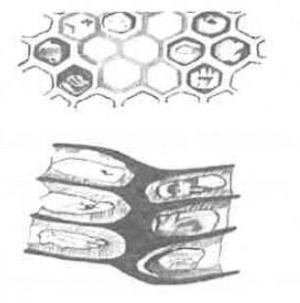 ChalkbroodHOLETABEEKEEPINGMANUAL.JPG